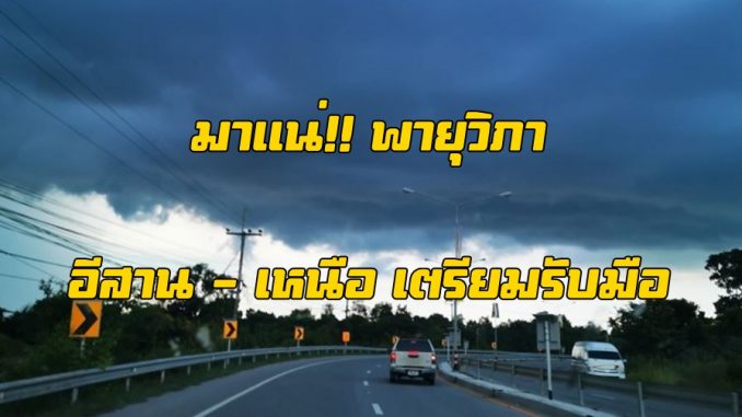 3 พายุวิภา