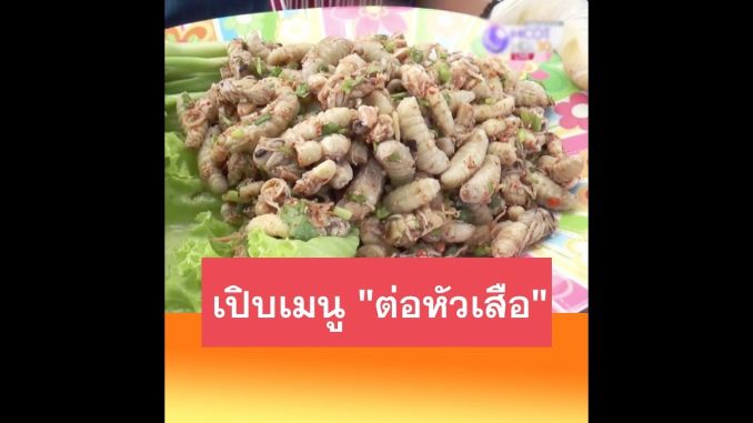5867655 เทศกาลกินต่อหัวเสือ อ. ปลาปาก